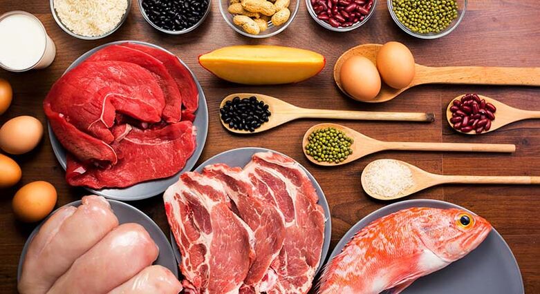 Healthy and High Protein Foods for Weight Loss